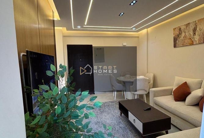 56499785 - Property Image 3