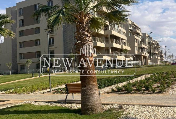 64390686 - Property Image 3