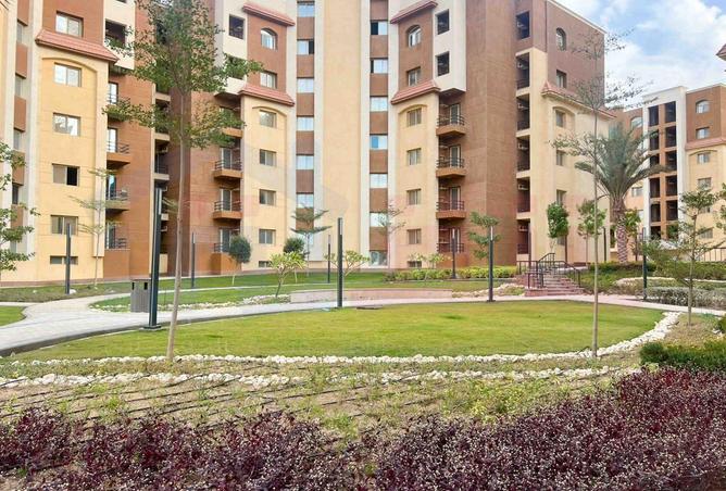 58737334 - Property Image 3