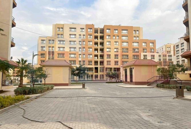 58737334 - Property Image 2