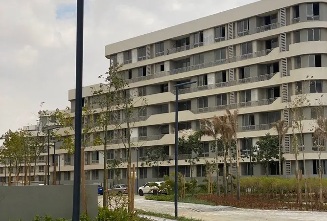 63387551 - Property Image 3