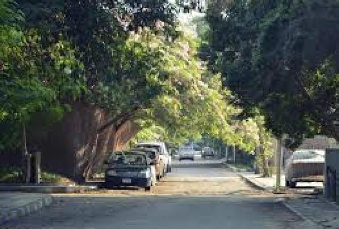 67736309 - Property Image 3