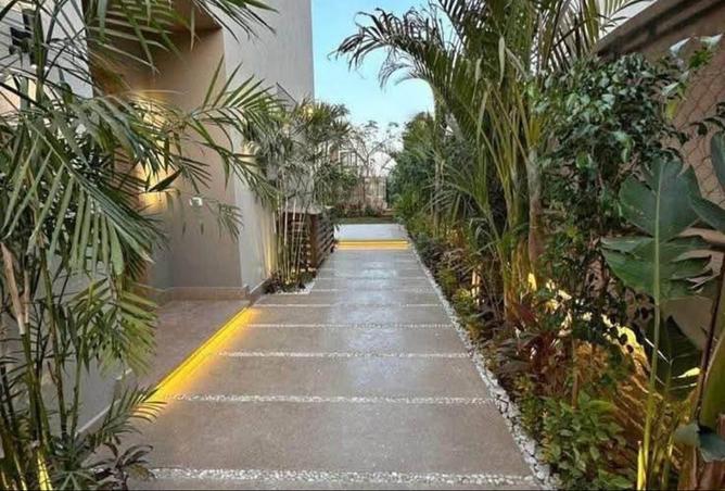 96587825 - Property Image 3