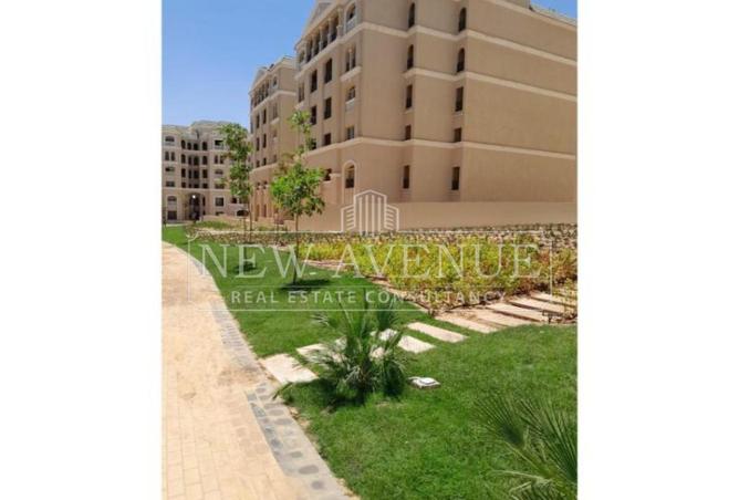 81051235 - صورة العقار 3