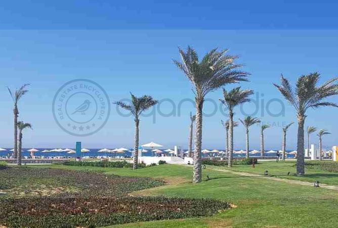 57993723 - صورة العقار 3