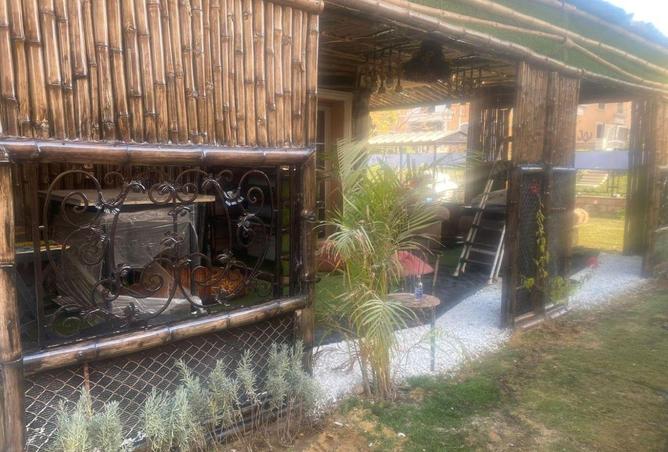 8558684 - صورة العقار 2