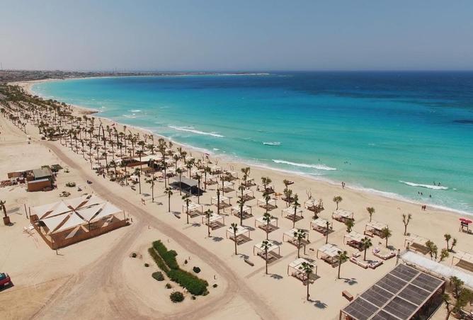 55507833 - Property Image 2