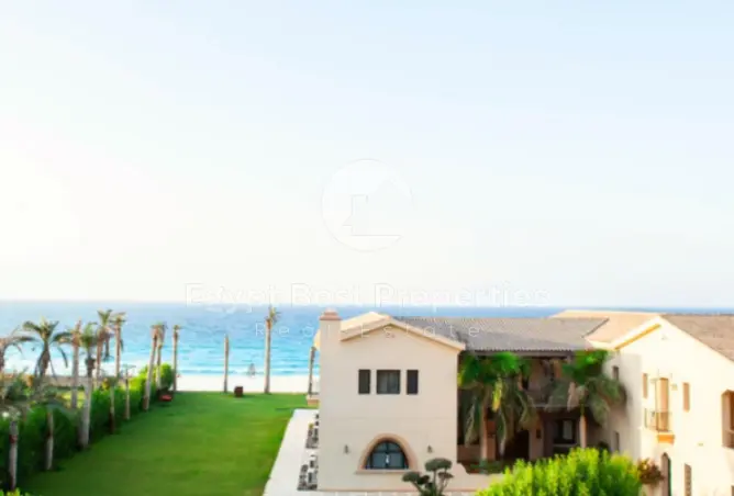 115711674 - Property Image 3