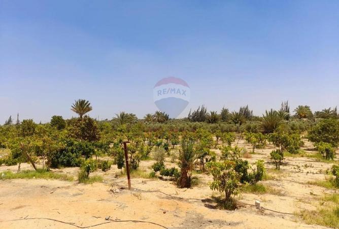 107974245 - صورة العقار 2