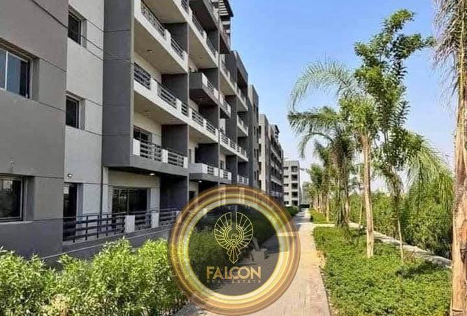 8681503 - Property Image 3