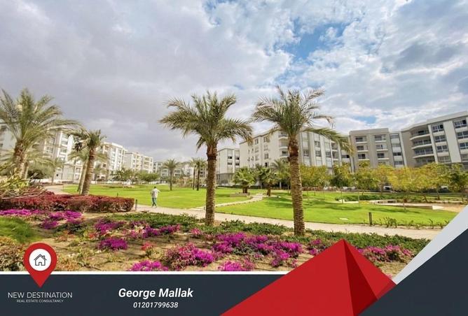 61686963 - Property Image 3