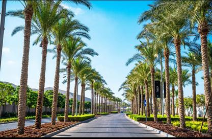 شقة - 2 غرف نوم - 4 حمامات للبيع في كايرو فيستيفال سيتى - المستثمرين الشمالية - مدينة القاهرة الجديدة - القاهرة شقة - 2 غرف نوم - 4 حمامات للبيع في كايرو فيستيفال سيتى - المستثمرين الشمالية - مدينة القاهرة الجديدة - القاهرة