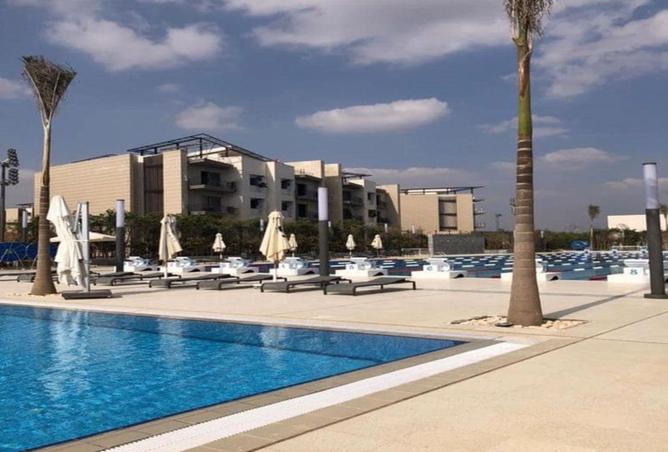 56253197 - Property Image 3