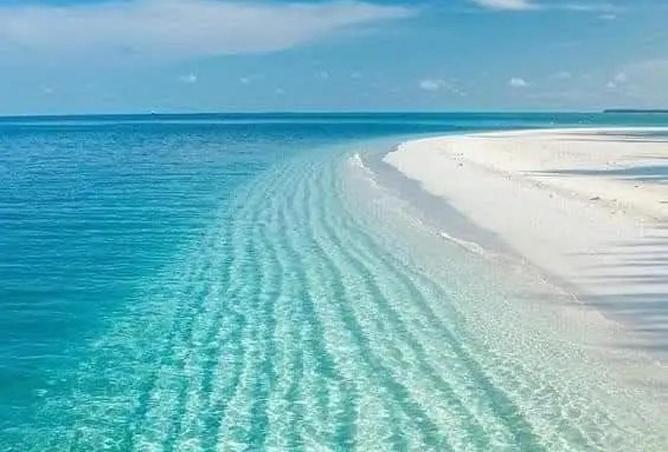 70105059 - صورة العقار 2