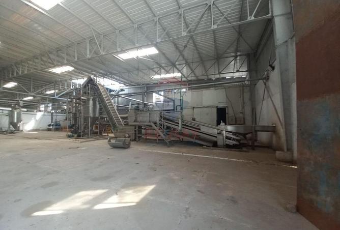 61440502 - Property Image 3