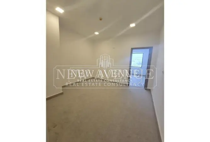 113252581 - Property Image 3