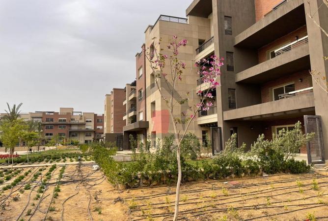 72978029 - Property Image 3