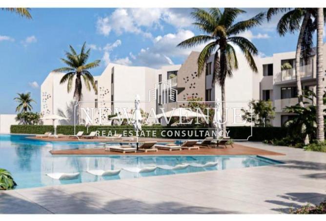 52188670 - Property Image 3