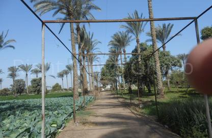 Farm - Studio for sale in El Khatatba - Madinat Al Menofeya - Al Menofeya