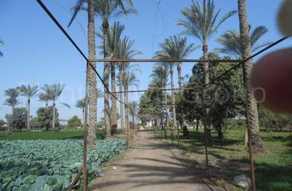 Farm - Studio for sale in El Khatatba - Madinat Al Menofeya - Al Menofeya