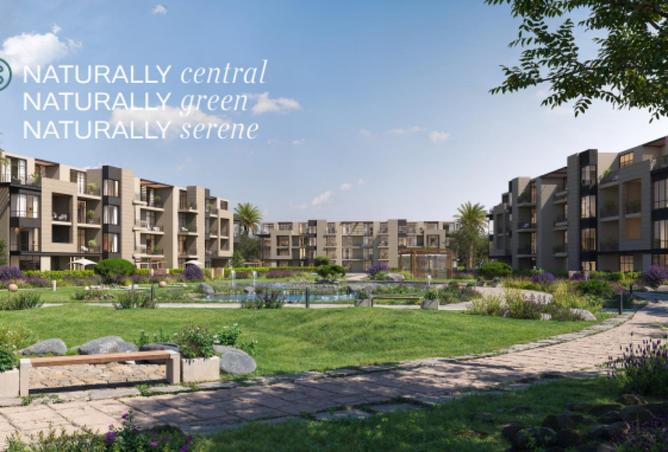 8684909 - صورة العقار 3