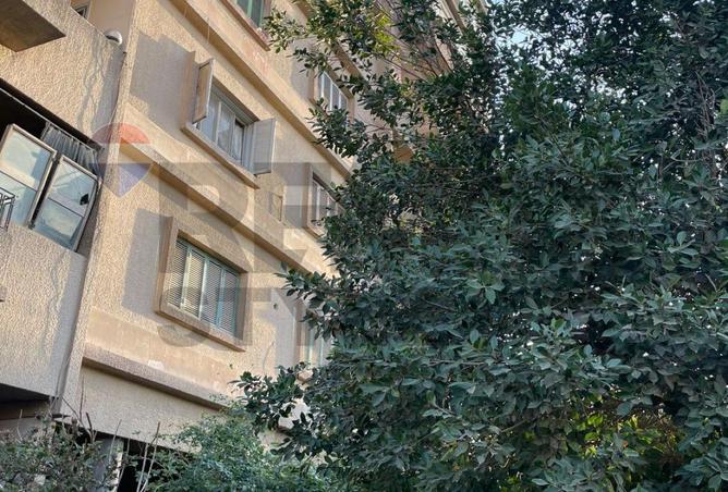 66950400 - صورة العقار 2