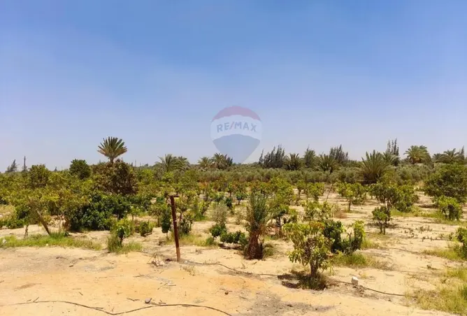 112697015 - صورة العقار 2