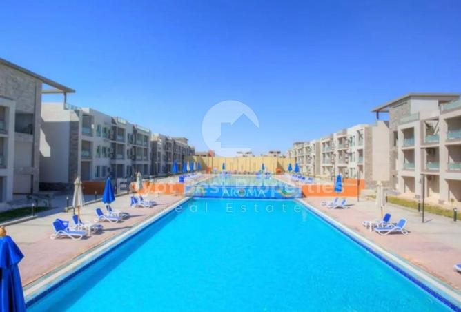 51167590 - صورة العقار 3