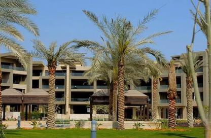عيادة - استوديو - 1 للبيع في نيو جيزة - طريق مصر اسكندرية الصحراوي - مدينة 6 أكتوبر - الجيزة