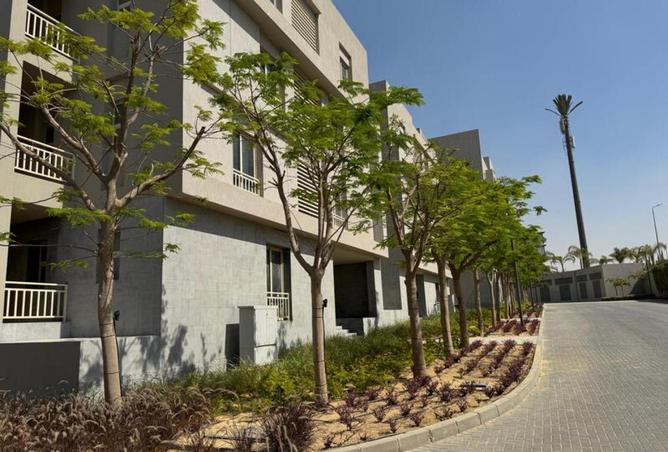 87509465 - Property Image 3