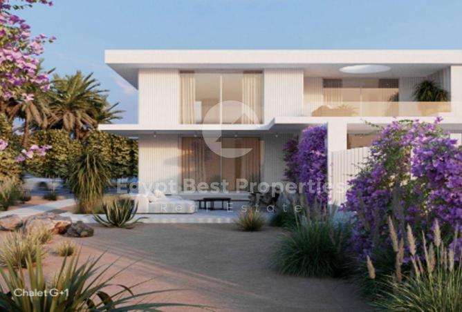 63636395 - Property Image 2