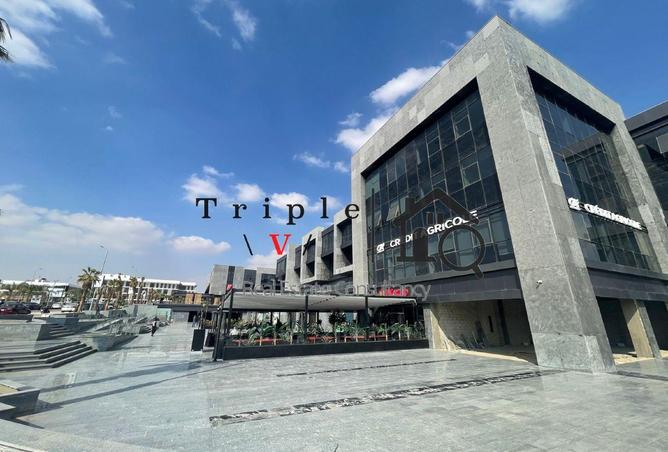 8626806 - Property Image 3