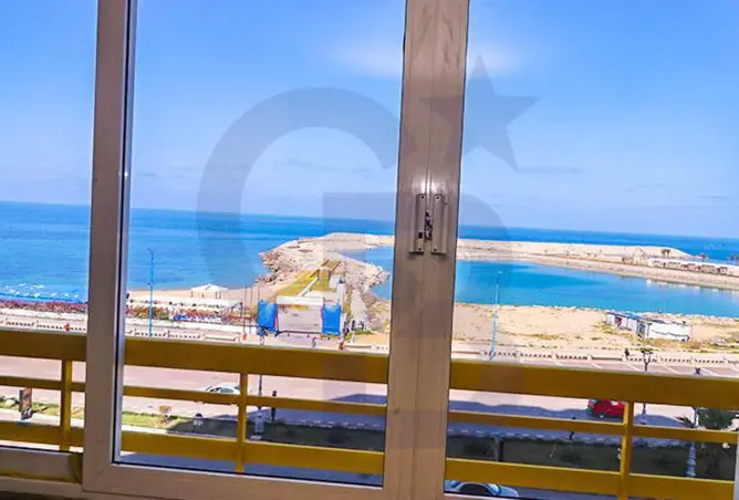 117281862 - صورة العقار 3