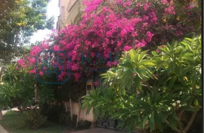 Villa - 4 Bedrooms - 3 Bathrooms for sale in Musab Bin Omair St. - Area E - Ganoob El Acadimia - New Cairo City - Cairo