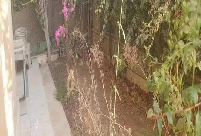 66953511 - صورة العقار 3