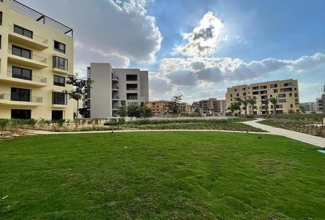 74049967 - صورة العقار 3