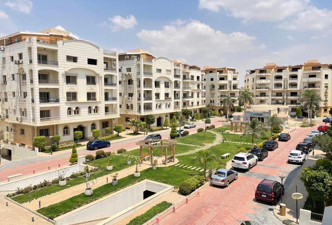 55262436 - Property Image 3