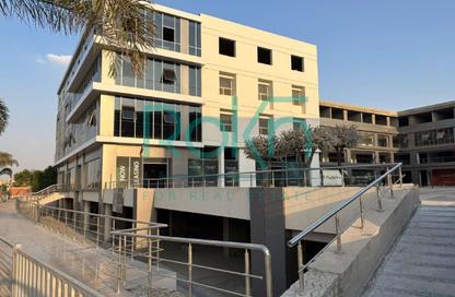 مساحات مكتبية - استوديو - 2 حمامات للبيع في مول بيازا 59 - الحي السادس - الشيخ زايد - الجيزة مساحات مكتبية - استوديو - 2 حمامات للبيع في مول بيازا 59 - الحي السادس - الشيخ زايد - الجيزة