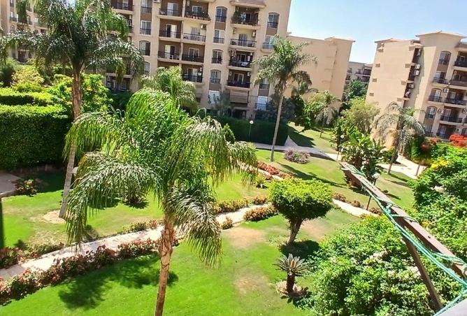 81315990 - صورة العقار 3