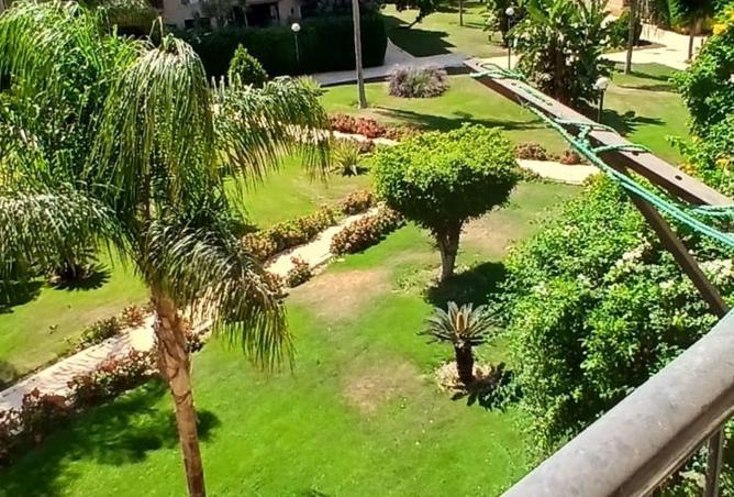 81315990 - الصورة الرئيسية للعقار