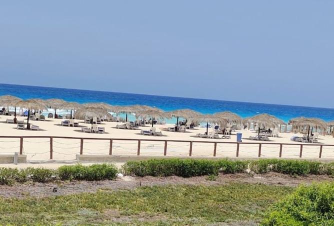 106017267 - صورة العقار 2
