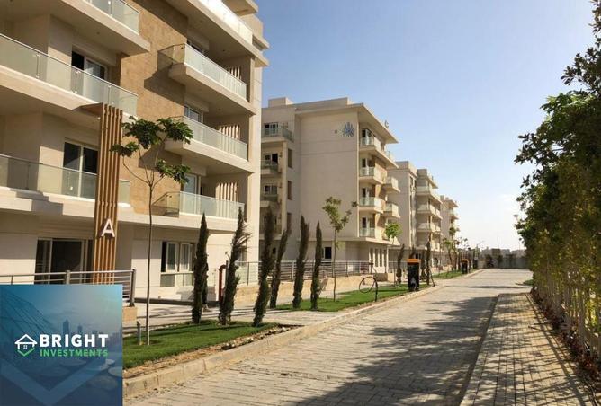 96859517 - Property Image 3
