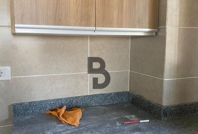 69572019 - صورة العقار 2