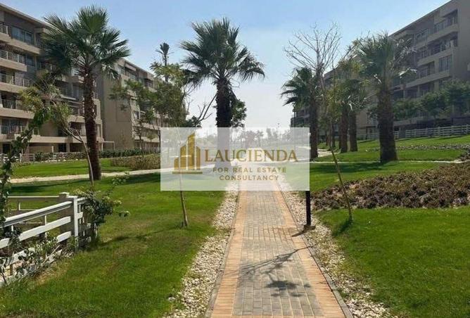 61686015 - صورة العقار 3