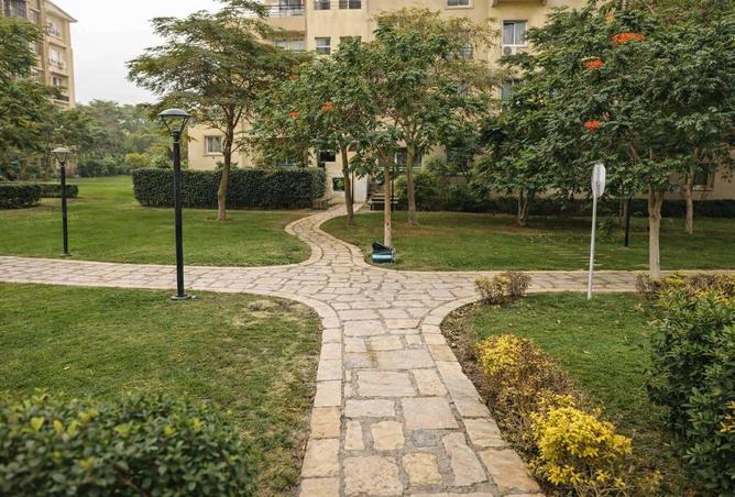 68529165 - صورة العقار 2