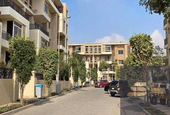 8584447 - Property Image 3