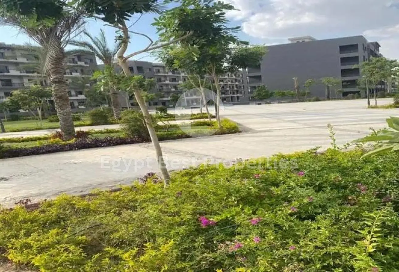 115176953 - الصورة الرئيسية للعقار