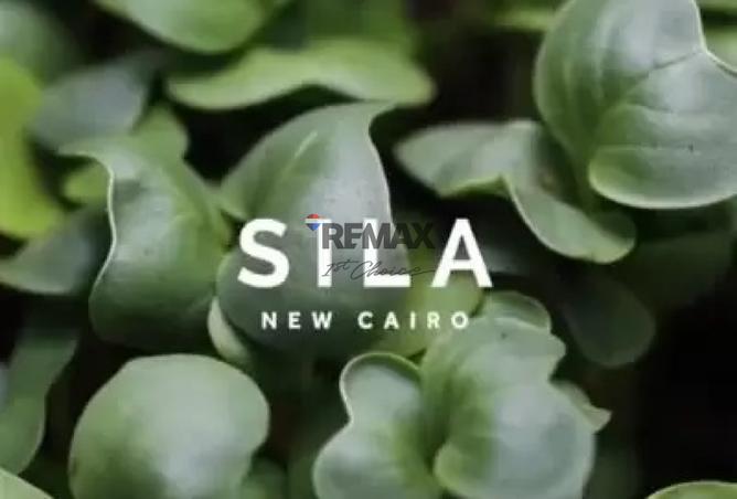 67998949 - Property Image 2