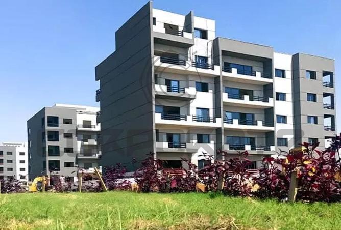 53725516 - صورة العقار 3