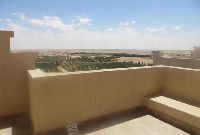 66955230 - صورة العقار 3